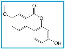 Urolithin A 8-Methyl Ether